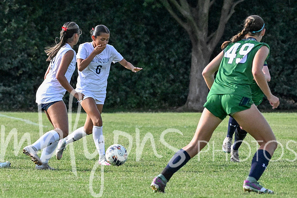 DSC_6241-1_edited-1