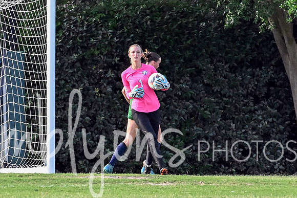 DSC_6282-1_edited-1