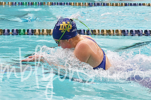 DSC_2124-1_edited-1