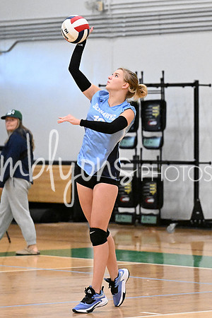 DSC_4447_edited-1