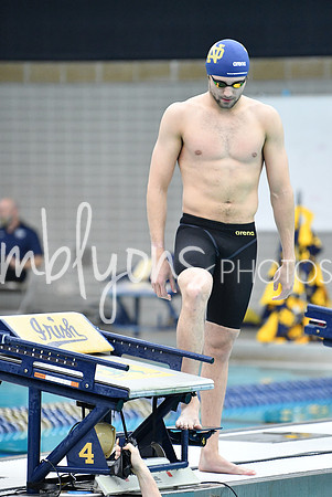 DSC_4234-1_edited-1