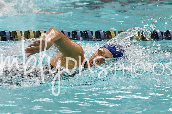 DSC_3350-1_edited-1