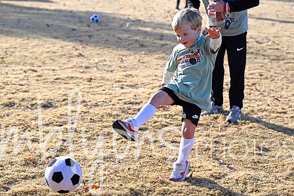 DSC_3750-1_edited-1