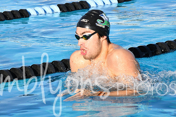 DSC_5650_edited-1