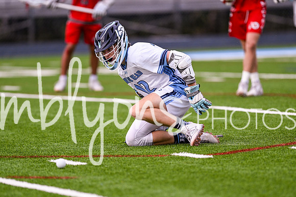 DSC_2598_edited-1