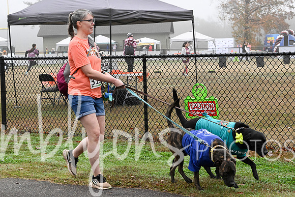 DSC_0240_edited-1