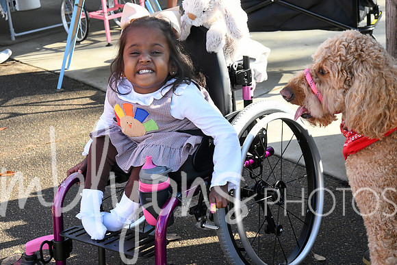 DSC_6085_edited-1