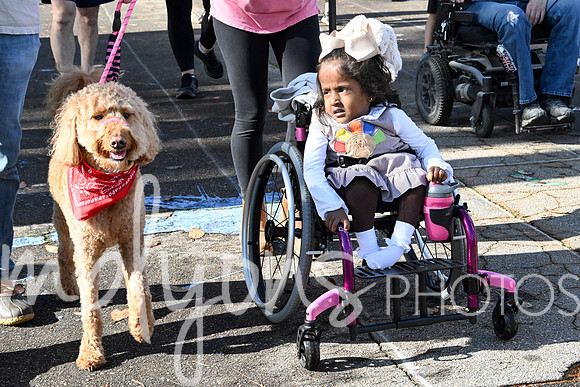 DSC_0504_edited-1