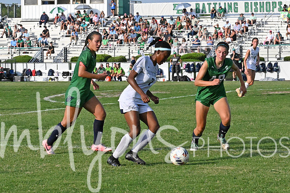 DSC_6466-12_edited-1