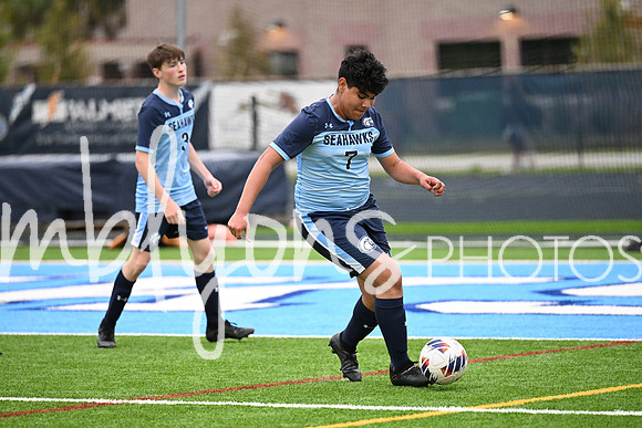 DSC_6725_edited-1