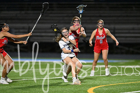 DSC_2742_edited-1