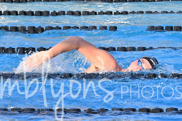 DSC_6333-1_edited-1