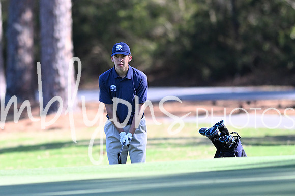 DSC_5395_edited-1