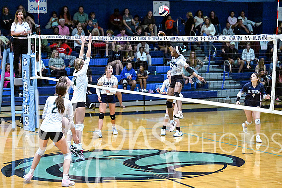 DSC_5896-1_edited-1