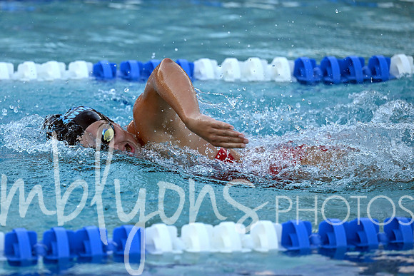 DSC_1376-1_edited-1
