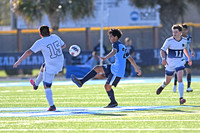 DSC_4518-1_edited-1