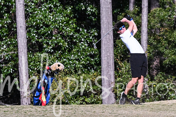 DSC_5784_edited-1