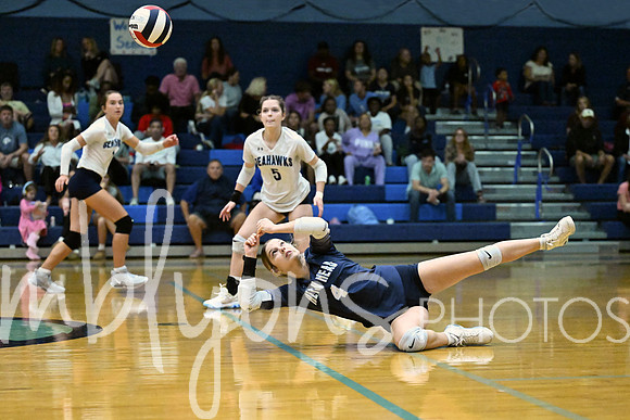DSC_5675-1_edited-1