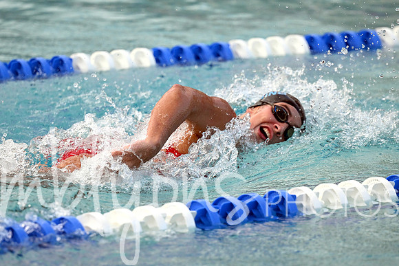 DSC_1732-1_edited-1