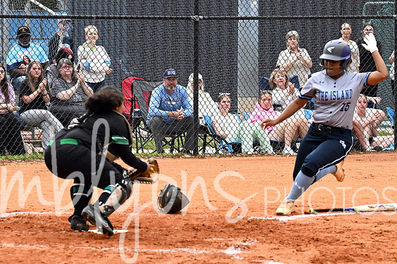 DSC_4355-1_edited-1