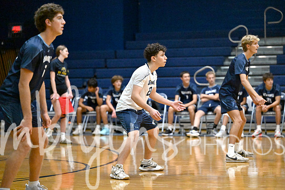 DSC_8623-1_edited-1