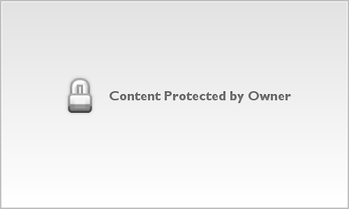 Head Shots & Team Pics