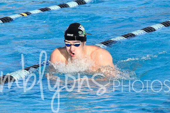 DSC_5501-1_edited-1