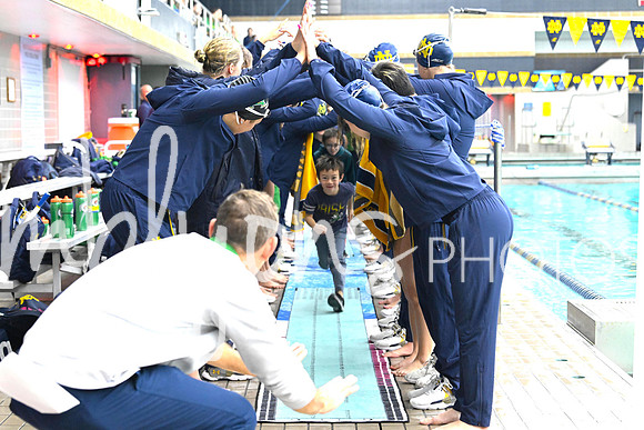 DSC_0484-1_edited-1