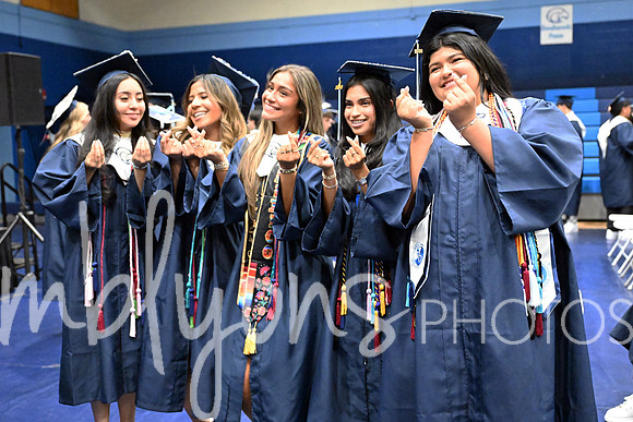 DSC_5272-1_edited-1