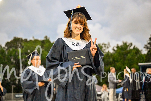 DSC_5428-1_edited-1