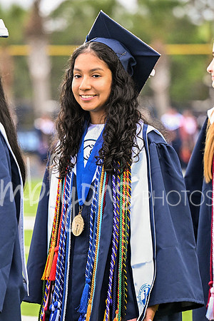 DSC_7323-1_edited-1