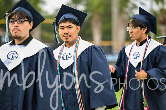 DSC_7336-1_edited-1