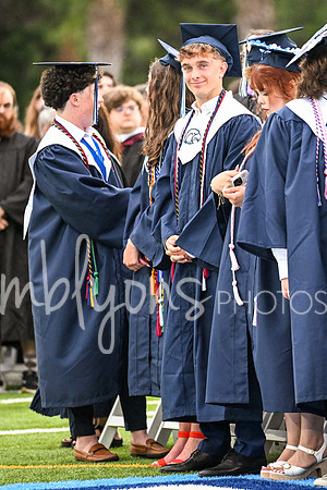 DSC_7383_edited-1