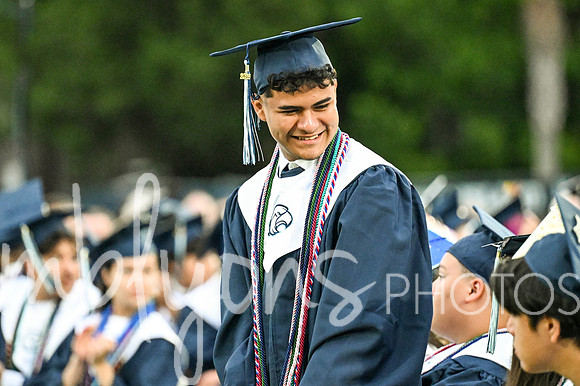 DSC_7448_edited-1