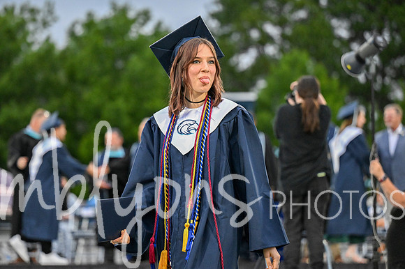DSC_7470-1_edited-1