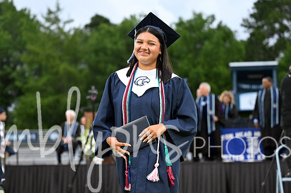 DSC_7508-1_edited-1
