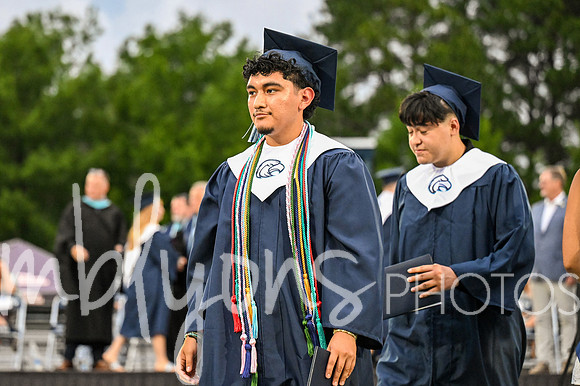 DSC_7513-1_edited-1