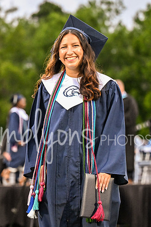 DSC_7553-1_edited-1