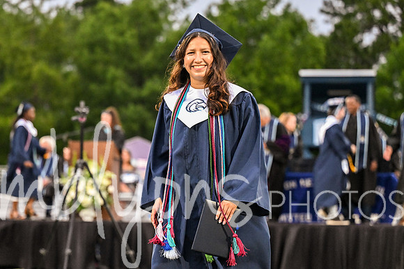DSC_7552-1_edited-1