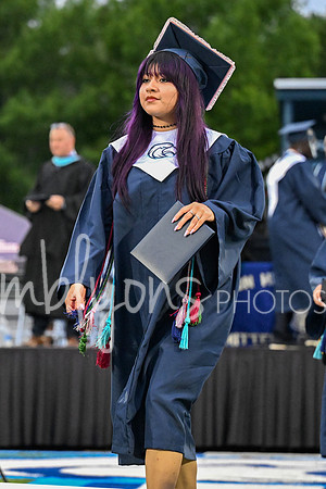 DSC_7592-1_edited-1