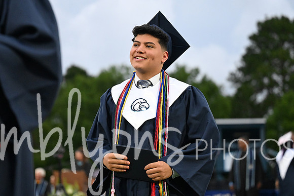 DSC_7591-1_edited-1
