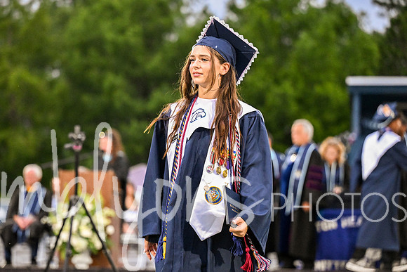 DSC_7624-1_edited-1