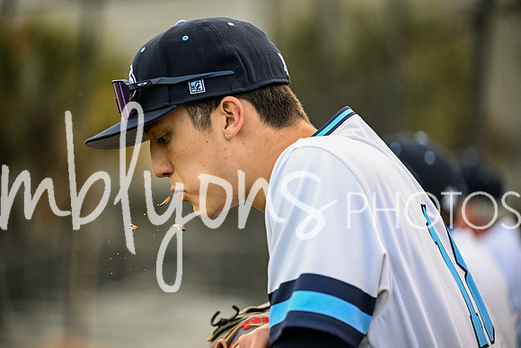 DSC_4828_edited-1