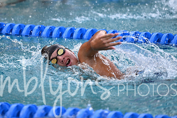 DSC_1420-1_edited-1