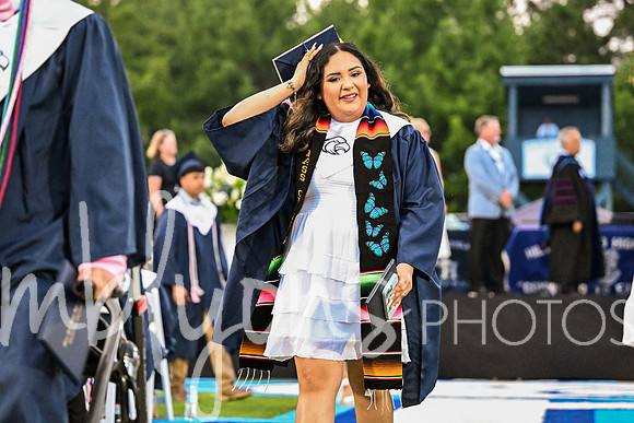 DSC_2430-1_edited-1