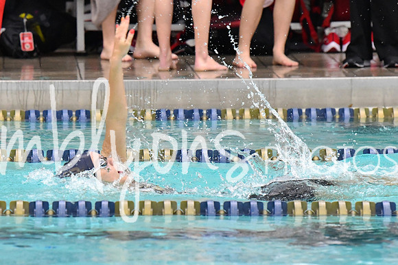 DSC_4087-1_edited-1