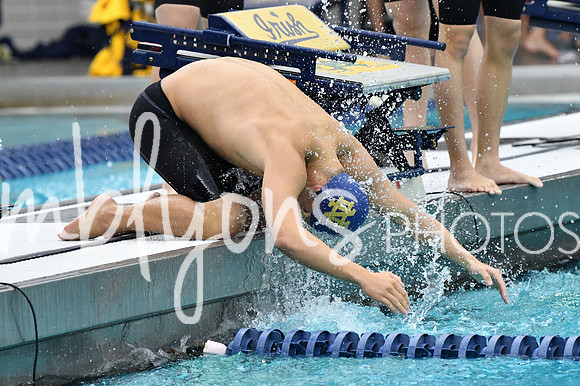 DSC_2768_edited-1