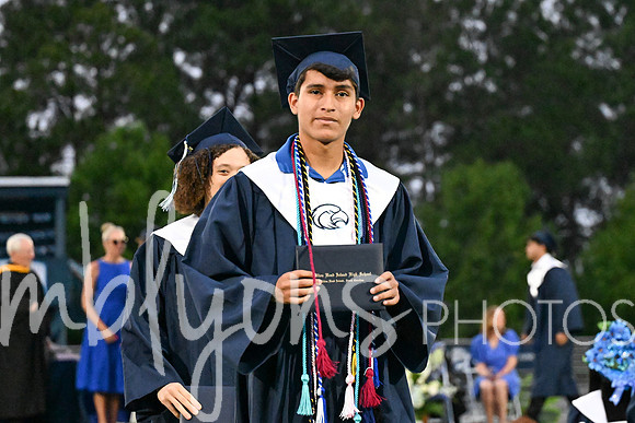 DSC_7447_edited-1