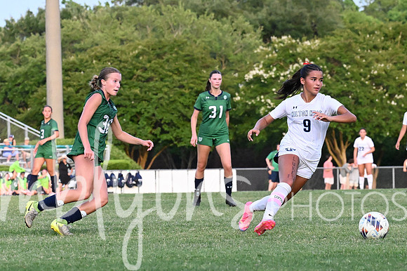 DSC_6512-1_edited-1