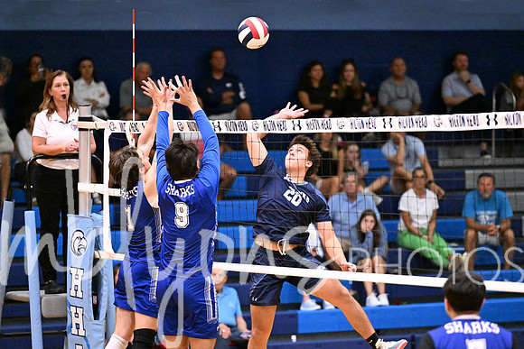 DSC_5603-1_edited-1